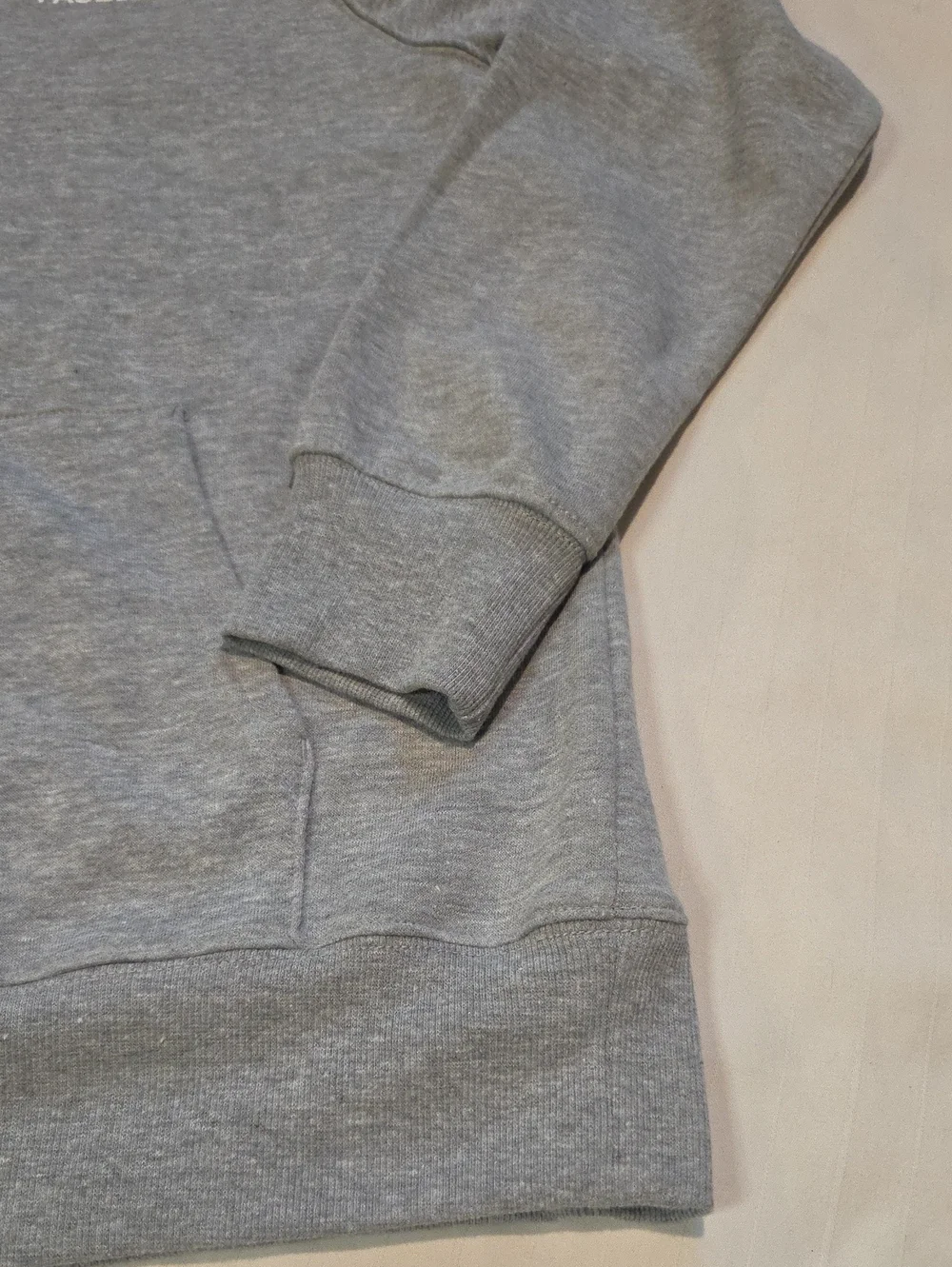 NWT The North Face Light Grey Pullover Hoodie with Logo Sz L
